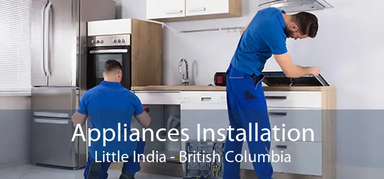 Appliances Installation Little India - British Columbia
