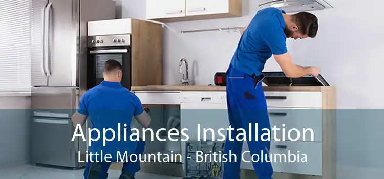 Appliances Installation Little Mountain - British Columbia