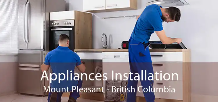 Appliances Installation Mount Pleasant - British Columbia