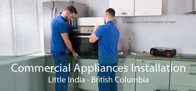 Commercial Appliances Installation Little India - British Columbia