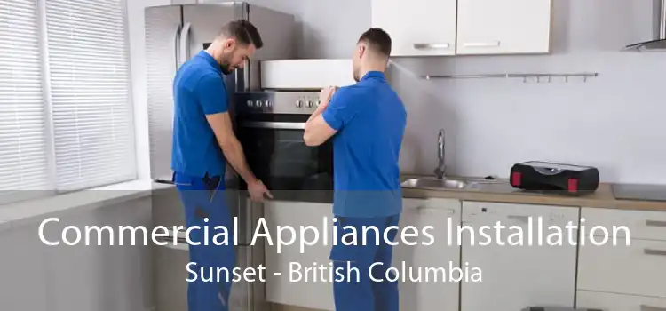 Commercial Appliances Installation Sunset - British Columbia