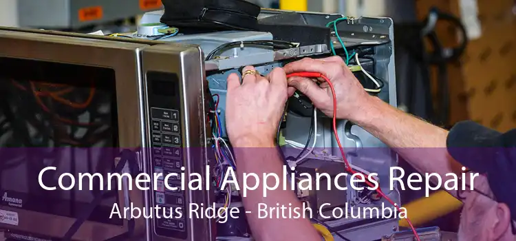 Commercial Appliances Repair Arbutus Ridge - British Columbia