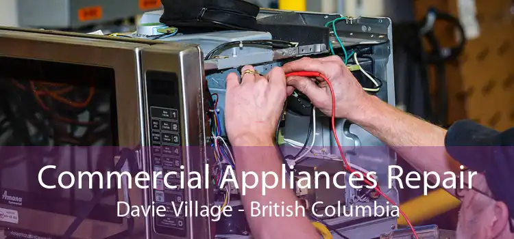 Commercial Appliances Repair Davie Village - British Columbia