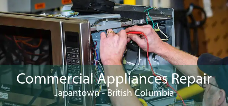 Commercial Appliances Repair Japantown - British Columbia