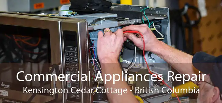 Commercial Appliances Repair Kensington Cedar Cottage - British Columbia