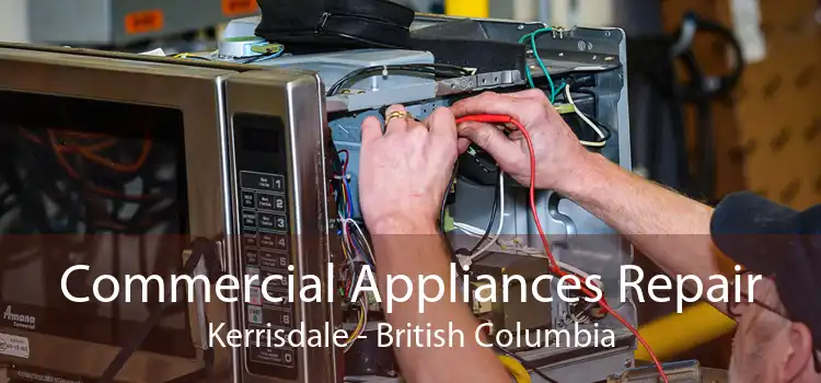 Commercial Appliances Repair Kerrisdale - British Columbia