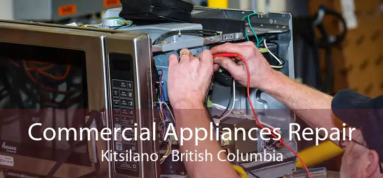 Commercial Appliances Repair Kitsilano - British Columbia