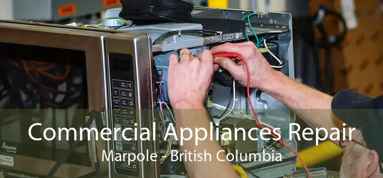 Commercial Appliances Repair Marpole - British Columbia