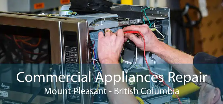 Commercial Appliances Repair Mount Pleasant - British Columbia