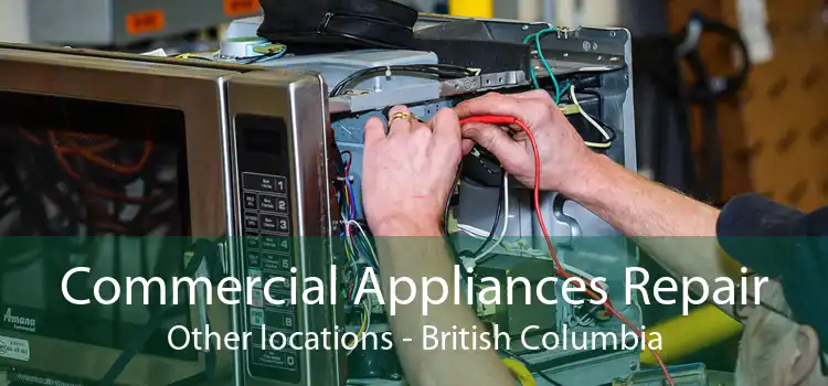 Commercial Appliances Repair Other locations - British Columbia