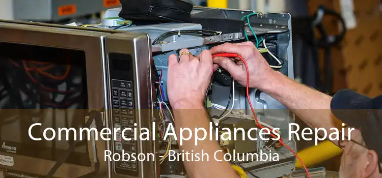 Commercial Appliances Repair Robson - British Columbia