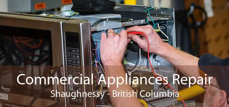 Commercial Appliances Repair Shaughnessy - British Columbia