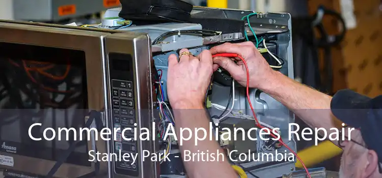 Commercial Appliances Repair Stanley Park - British Columbia