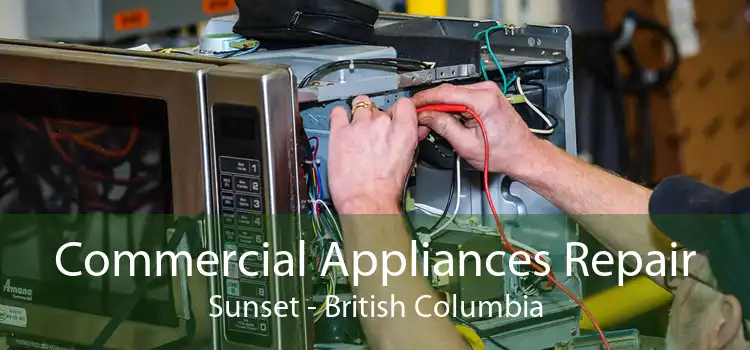 Commercial Appliances Repair Sunset - British Columbia