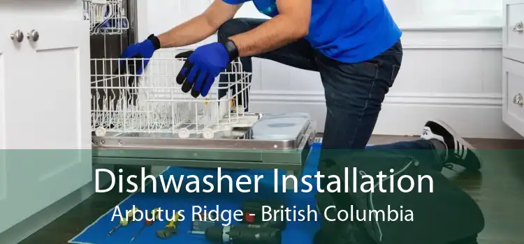 Dishwasher Installation Arbutus Ridge - British Columbia