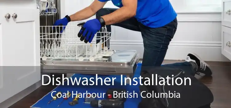 Dishwasher Installation Coal Harbour - British Columbia