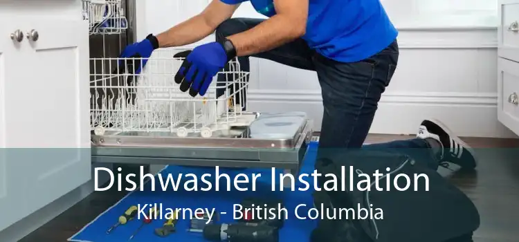 Dishwasher Installation Killarney - British Columbia