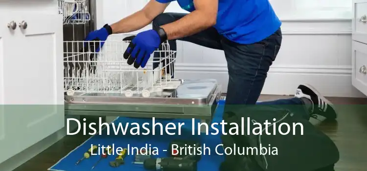 Dishwasher Installation Little India - British Columbia