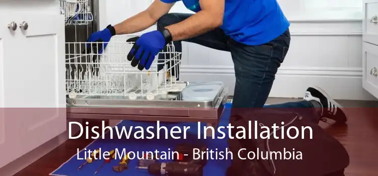 Dishwasher Installation Little Mountain - British Columbia