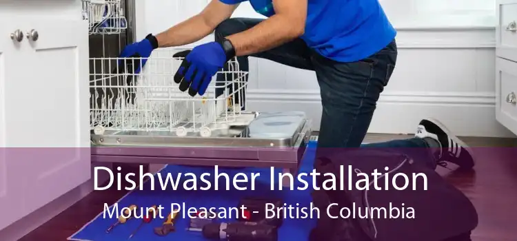 Dishwasher Installation Mount Pleasant - British Columbia