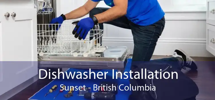 Dishwasher Installation Sunset - British Columbia