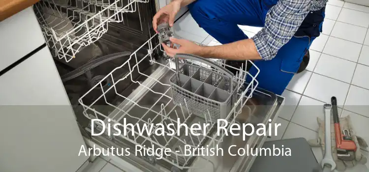 Dishwasher Repair Arbutus Ridge - British Columbia