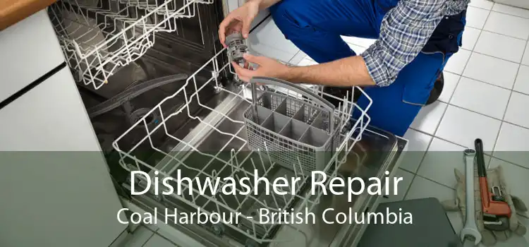 Dishwasher Repair Coal Harbour - British Columbia
