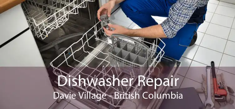 Dishwasher Repair Davie Village - British Columbia