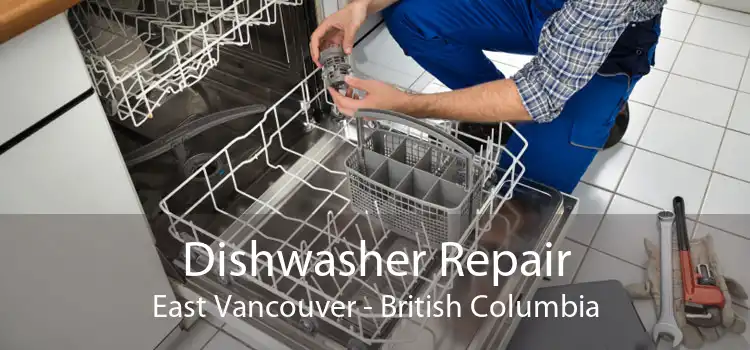 Dishwasher Repair East Vancouver - British Columbia