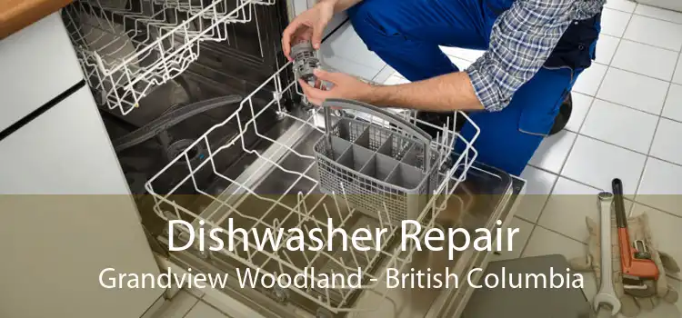Dishwasher Repair Grandview Woodland - British Columbia