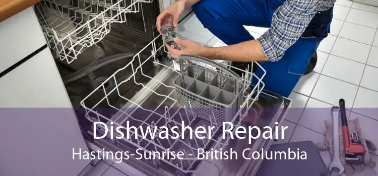 Dishwasher Repair Hastings-Sunrise - British Columbia