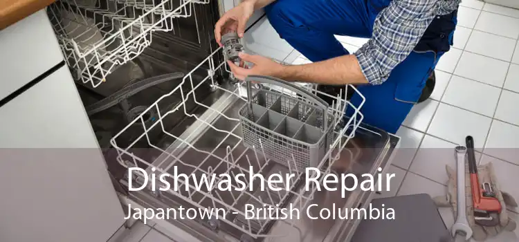 Dishwasher Repair Japantown - British Columbia