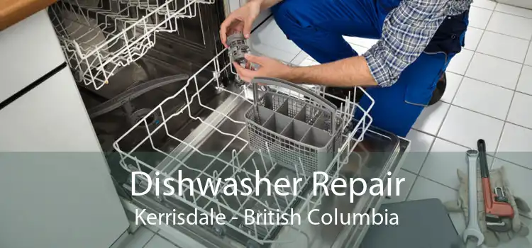 Dishwasher Repair Kerrisdale - British Columbia