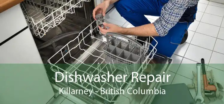 Dishwasher Repair Killarney - British Columbia