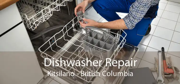Dishwasher Repair Kitsilano - British Columbia