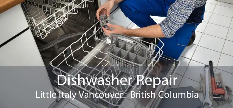 Dishwasher Repair Little Italy Vancouver - British Columbia