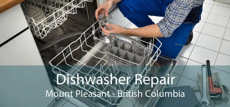 Dishwasher Repair Mount Pleasant - British Columbia