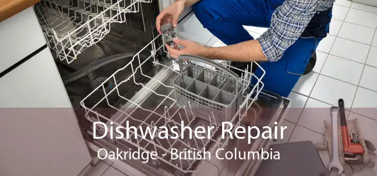 Dishwasher Repair Oakridge - British Columbia