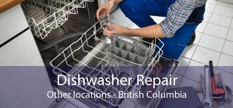 Dishwasher Repair Other locations - British Columbia