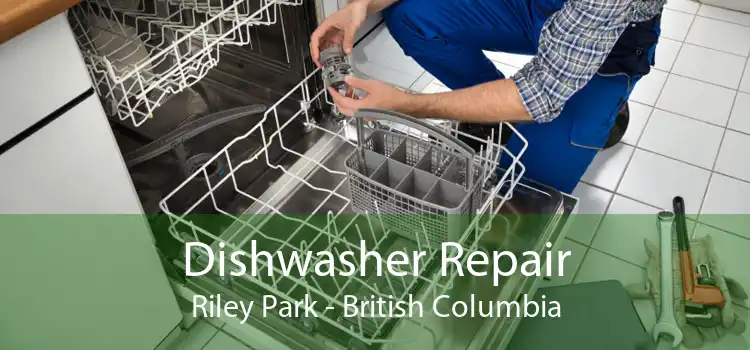 Dishwasher Repair Riley Park - British Columbia