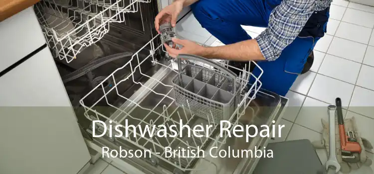Dishwasher Repair Robson - British Columbia