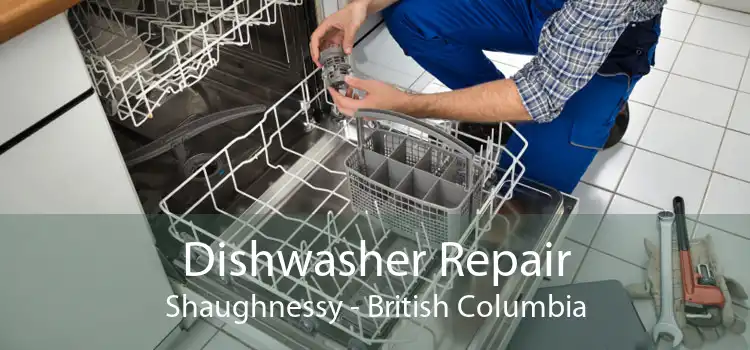 Dishwasher Repair Shaughnessy - British Columbia