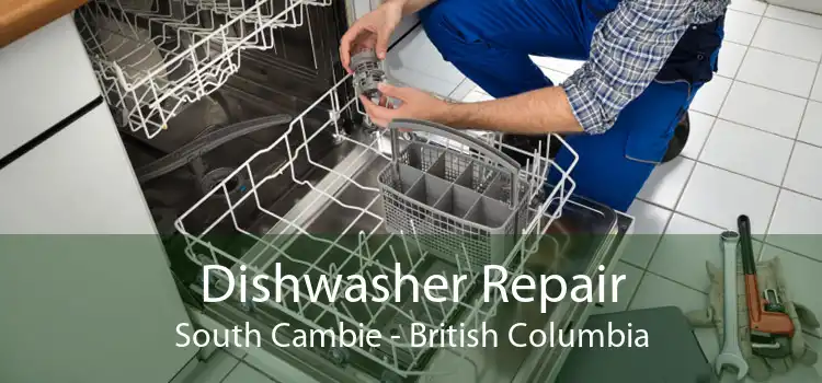 Dishwasher Repair South Cambie - British Columbia