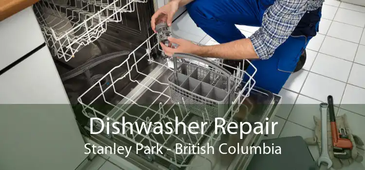 Dishwasher Repair Stanley Park - British Columbia