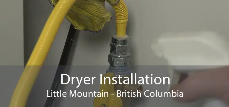Dryer Installation Little Mountain - British Columbia