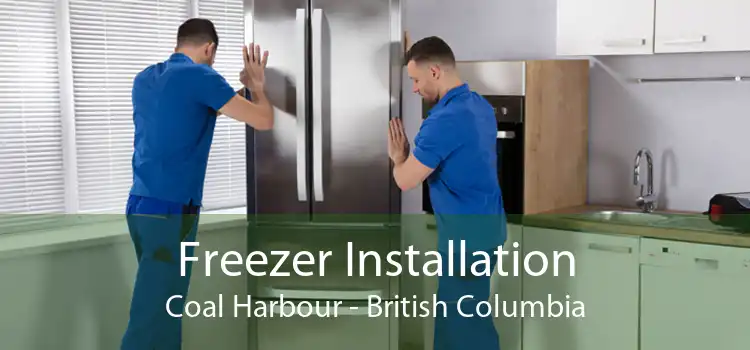 Freezer Installation Coal Harbour - British Columbia
