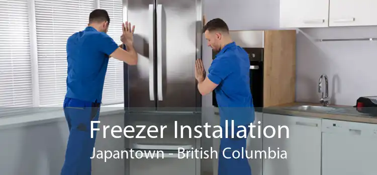 Freezer Installation Japantown - British Columbia