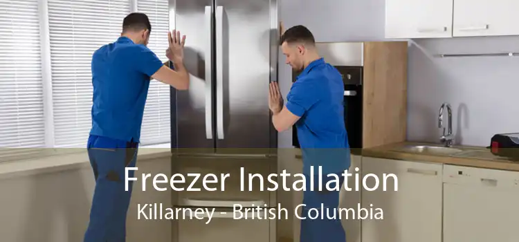 Freezer Installation Killarney - British Columbia