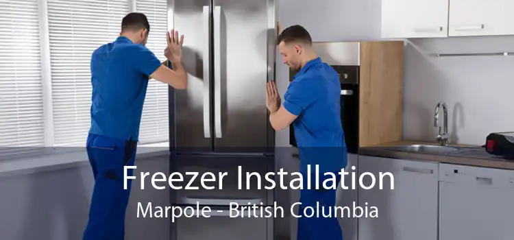 Freezer Installation Marpole - British Columbia