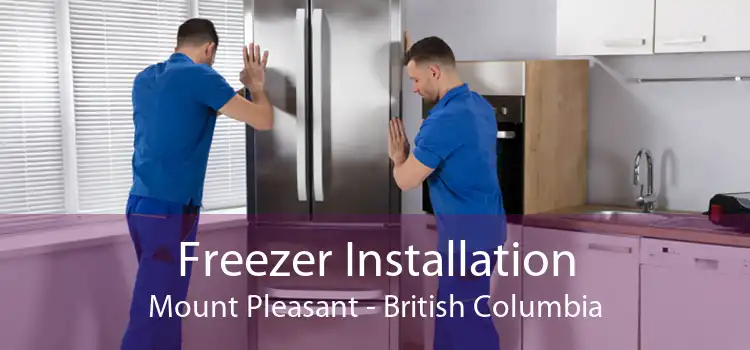 Freezer Installation Mount Pleasant - British Columbia
